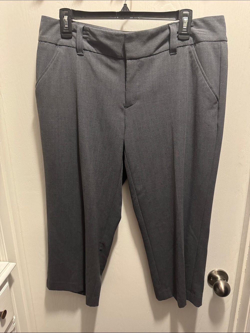 NWOT Dress Capris - Dana Buchman Charcoal Gray Dress Capris with Pockets